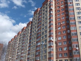 Обложка объекта "Березовец"