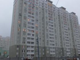 Обложка объекта "Центральный"