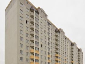 Обложка объекта "Новая Пролетарка"