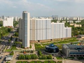 Обложка объекта "Розмарин"