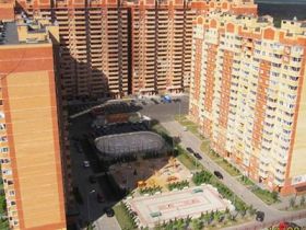 Обложка объекта "Сосновый бор"