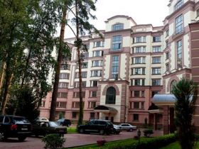 Обложка объекта "Сосны Николина гора"
