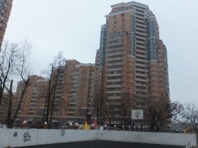 Обложка объекта "Янтарный"