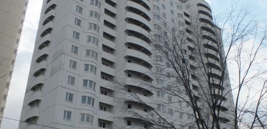 Так выглядит  Новые Кузьминки, квартал 117 - #179946127