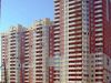 Так выглядит  Айлант - #1971708164