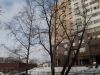 Так выглядит Жилой комплекс Холмогоры - #655673074